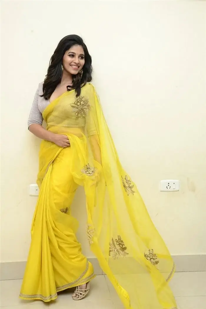 SOUTH INDIAN ACTRESS ANJALI STILLS IN TRADITIONAL LEMON YELLOW SAREE 13